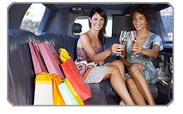 South San Francisco Shopping Limo Excursions